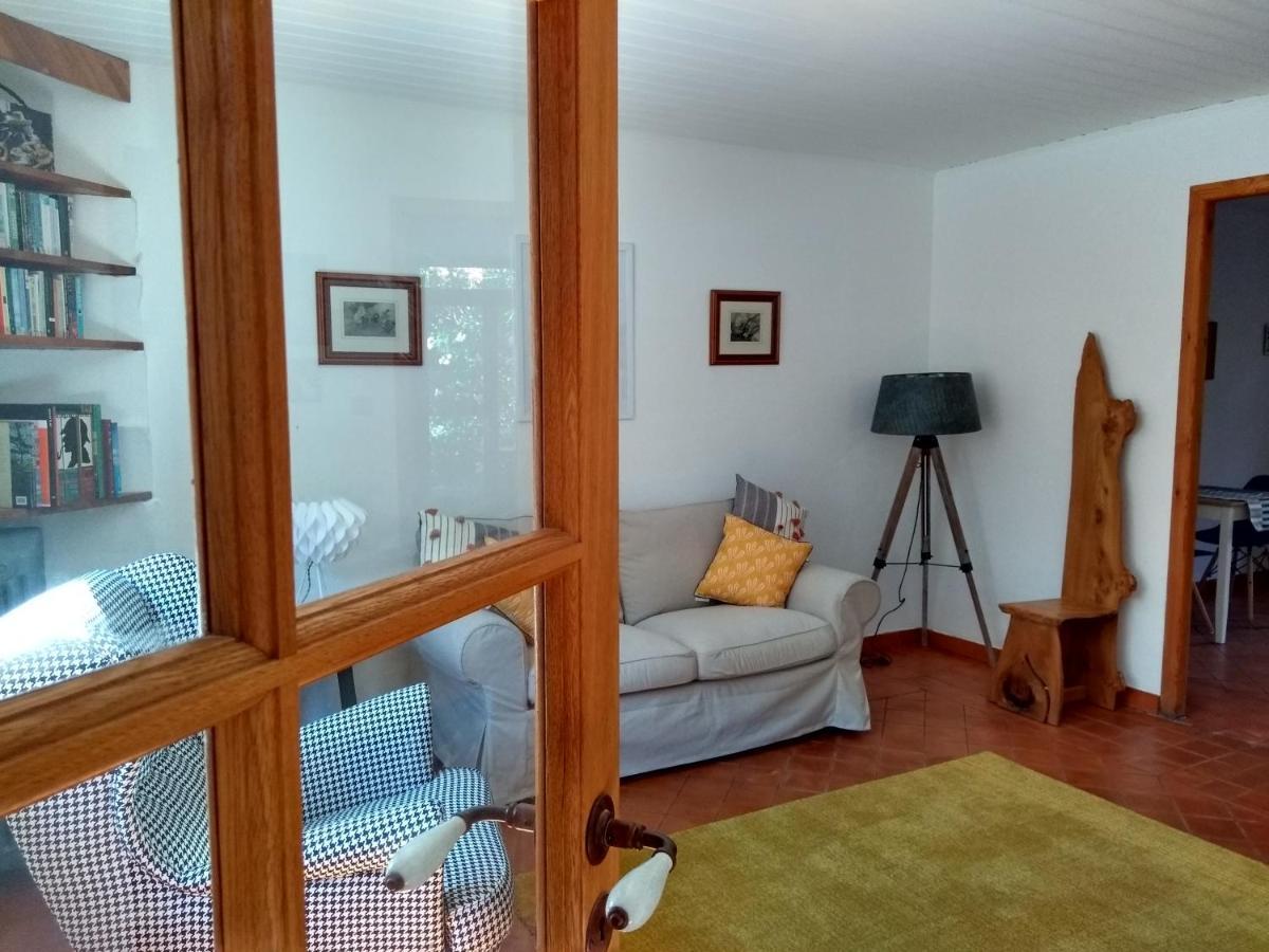 Number15 Guesthouse Carcassonne Zewnętrze zdjęcie