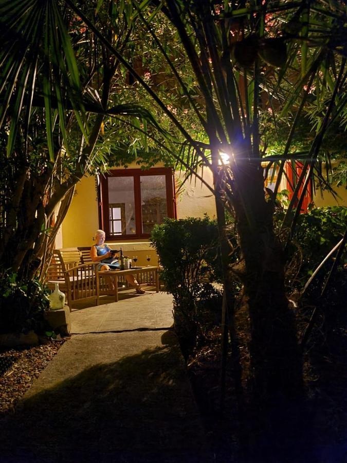 Number15 Guesthouse Carcassonne Zewnętrze zdjęcie